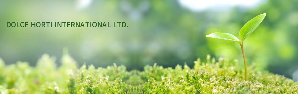 UNIQUE CHANCE INTERNATIONAL LTD.